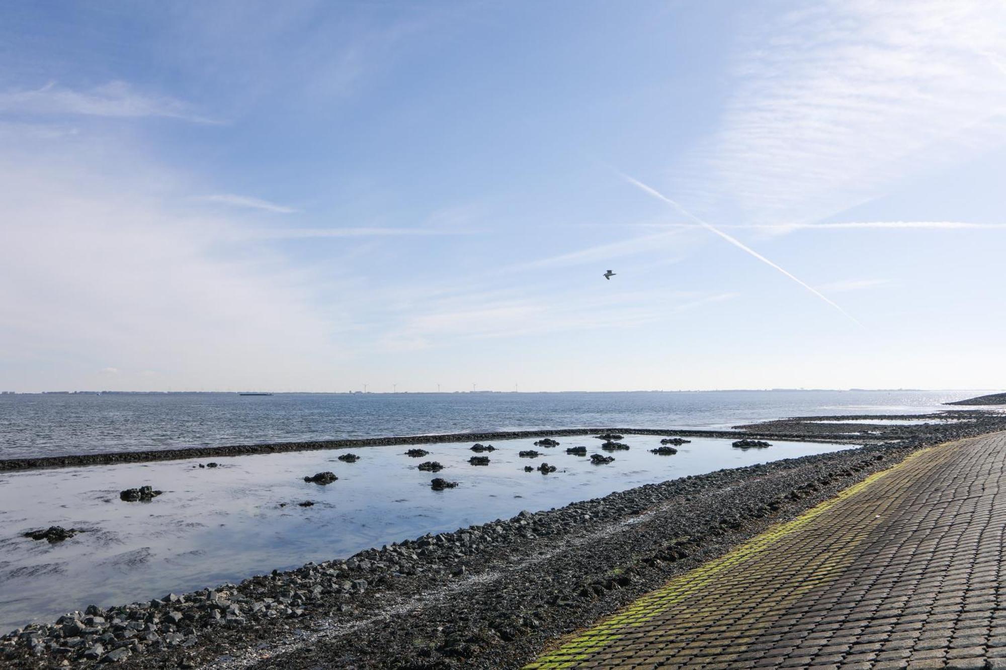 Strand Appartementen Wemeldinge Exterior foto